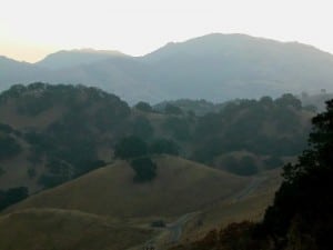 Mount Diablo from Shell Ridge. Photo from PCTR.