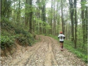 Trail running in the Belgrado Forest.