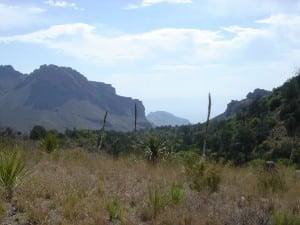 A quintessential Big Bend National Park viewscape.