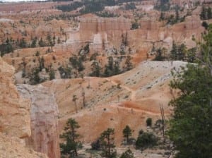 Part of the Fairyland Loop.