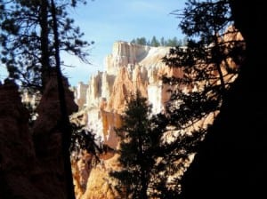 A view from the Navajo-Queen's Garden Loop.