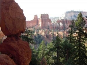 A view in Bryce Canyon National Park.