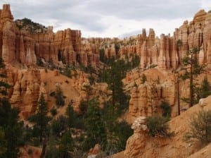 A final look at Bryce Canyon's fantastic hoodoos.