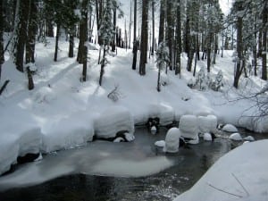 The trail was just across the beautiful but dangerous Cottonwood Creek.
