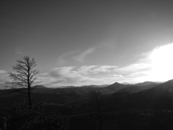 DSCN0264