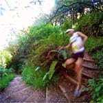 Peak Performance and The Selfish Brain: The Central Governor and Its Role in 100-Mile Performance