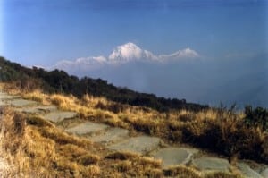 Dhaulagiri from the Poon Hill Trek Route.
