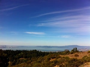 How could you not enjoy the race when there are stunning views of San Francisco?