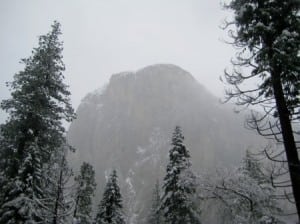 The view of El Capitan from the South Valley Trail during a December snowstorm.