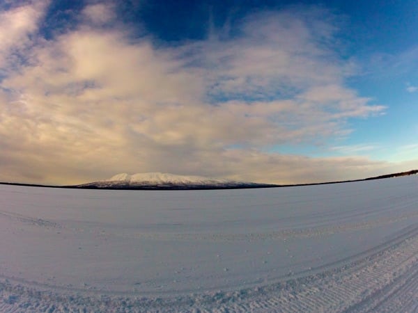 View of Mt. Susitna from the Dismal Swamp