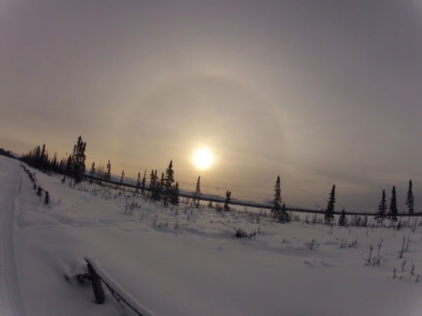 2012 Susitna 100