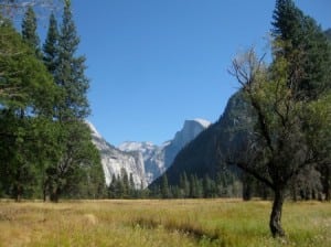 A view of Half Dome watching over a meadow from the North Valley Trail on October 11, 2009.