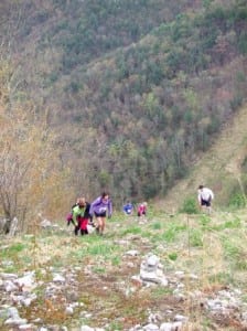 A view from the top of The S.O.B., the Hyner View Trail Challenge's final climb.