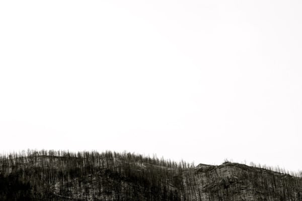 IMG_2747