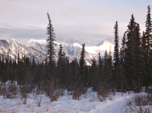 Looking back at the Alaska Range somewhere north of Rohn. Iditarod Trail Invitational 2012 - Alaska Range