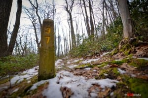 The 71-mile Laurel Highlands Ultra covers the Laurel Highlands Hiking Trail entire length. No more, no less. Photo: CatchTech Adventures
