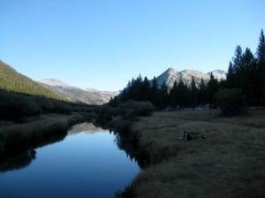 Lyell Canyon is a nice place reflect late into a long run.