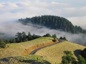 Above the fog on Mount Tam. Photo by Leor Pantilat.