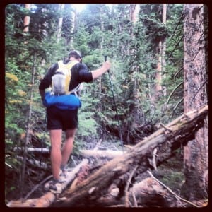 Jared Campbell bushwhacking on Mount Yale.