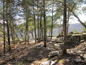 Typical Ozark Mountains scenery. Photo: Meghan Hicks.