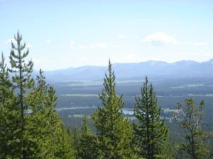 Pelican Valley is the swath of green in the back of the photo.
