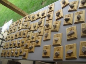 Rothrock finishers awards? Rocks from the trail!