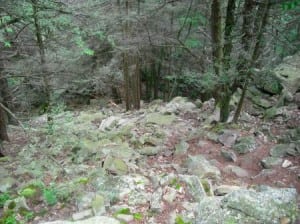 The Rothrock course looks like THIS. Runners scale this.