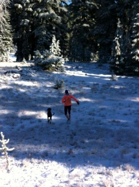 SAD running - dog