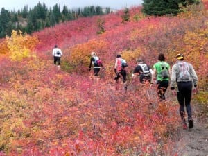 Enjoyable early winter running with friends.