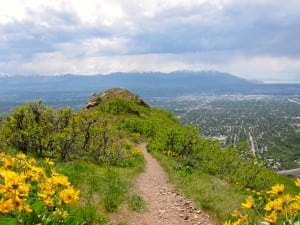 The view from Grandeur in spring.
