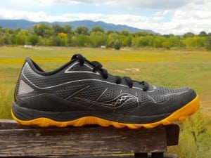 The Kinvara TR's medial upper.