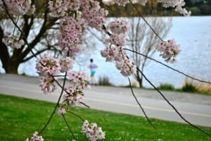Greenlake