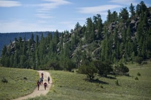 Runners on the first stage of the TransRockies Run
