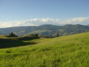 Typical Yellowstone landscape at 8,000 feet. (Photo taken near the Tower developed area.)
