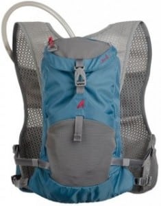 UltrAspire Surge - blue - back