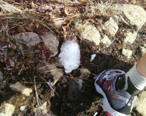 Vasque Transistor FS in the snow and mud.