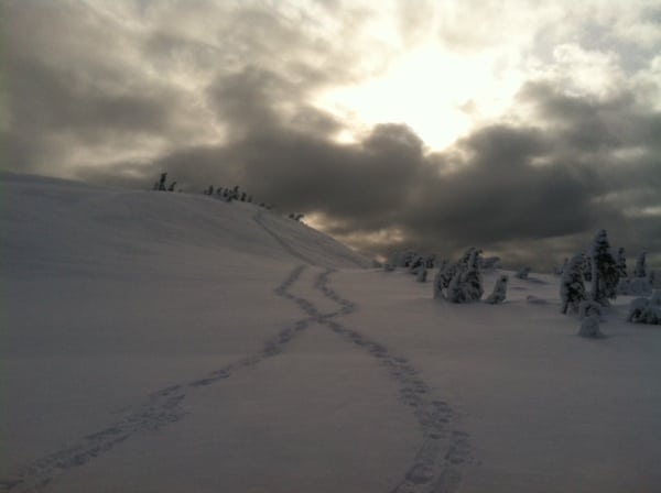Juneau photo 2