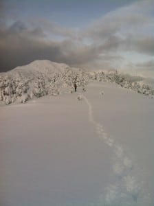 Juneau photo 3