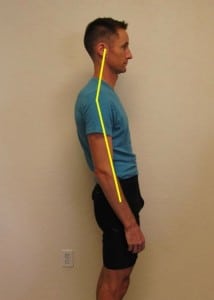 A slightly exaggerated backward “sitting” trunk. Note that in standing, the center of the trunk lies behind the hip-knee-foot.