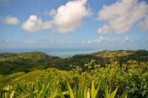 The view from top of Mont Limon. Photo: Meghan Hicks