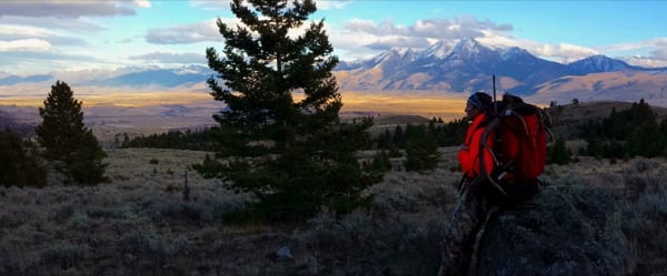 Mike Wofle Hunt
