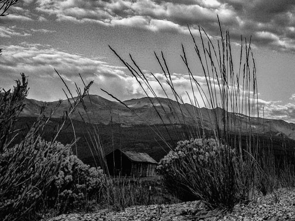 2013 Leadville 100