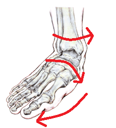 3.Footabduction