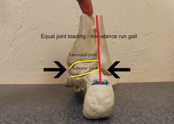 Neutral joint alignment, rear view, of the foot. Note the close proximity of the talocrural and subtalar joints to where the Achilles tendon runs (red line). Achilles - Neutral