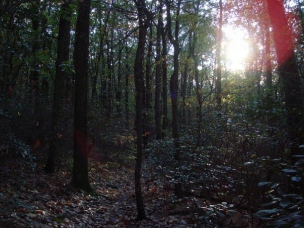 Appalachian Trail - South Mountain - Maryland