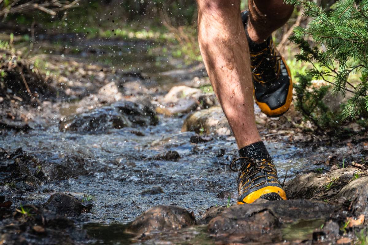 Salomon Trail Сочи забег