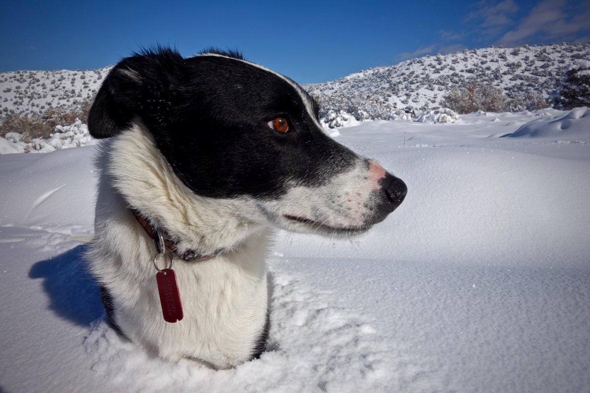 Finally Winter Wimps Out >> The Three A S Of Braving Deep Winter Irunfar Com Finally Winter Wimps Out >> The Three A S Of Braving Deep Winter Irunfar Com