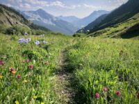 Finding My Way Between Hunting and Being Hunted Finding My Way Between Hunting and Being Hunted