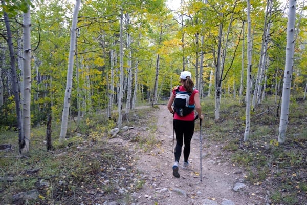 Meghan Hick - 2016 Nolan's 14 - Mount Princeton aspens