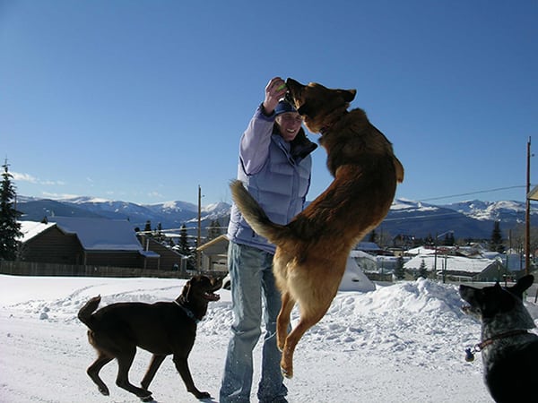 Taz, the real-life Lassie, and Danelle play in March 2007, just after she got out of the wheelchair following her accident. Photo: Bubba Betty
